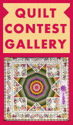 Enter quilt gallery